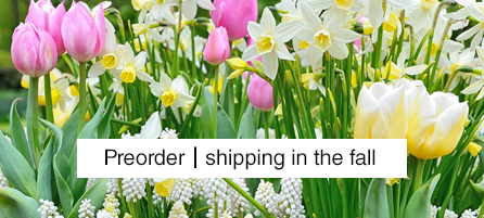 Fall Best Sellers - Preorder - Shipping in the fall