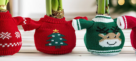Amaryllis Sweaters