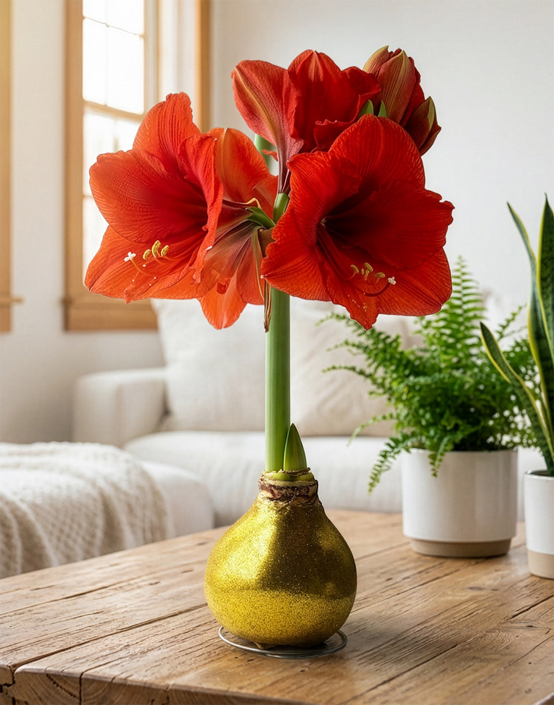 Gold Glitter Waxed Amaryllis with Red Flower