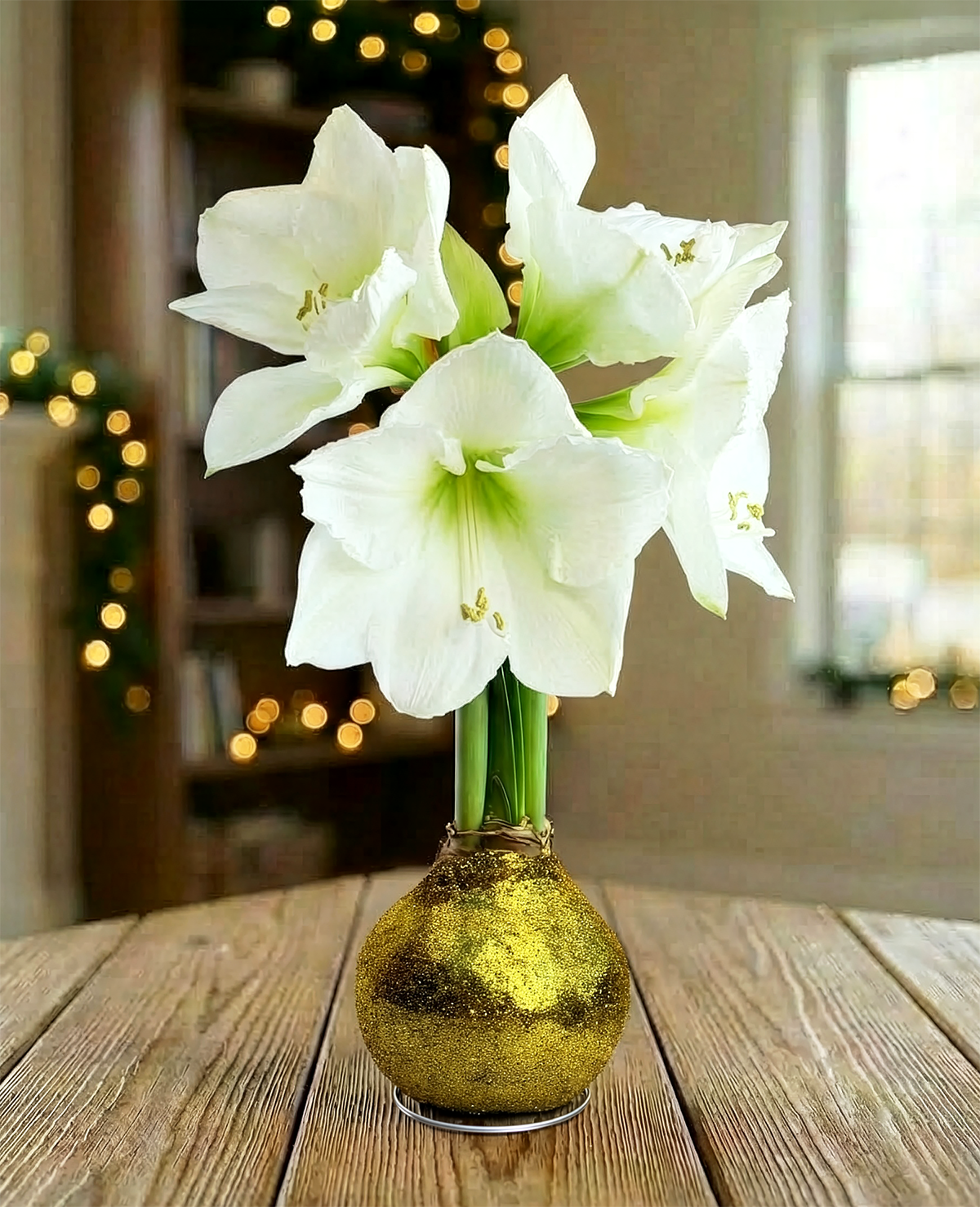 Gold Glitter Waxed Amaryllis with White Flower