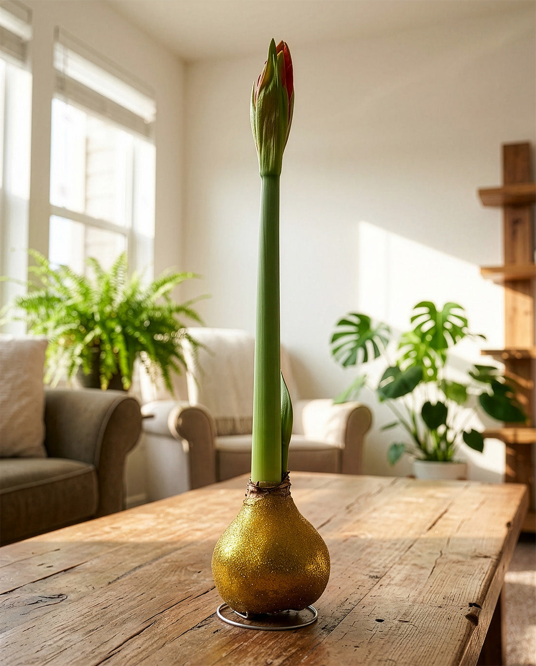 Gold Glitter Waxed Amaryllis with Red Flower