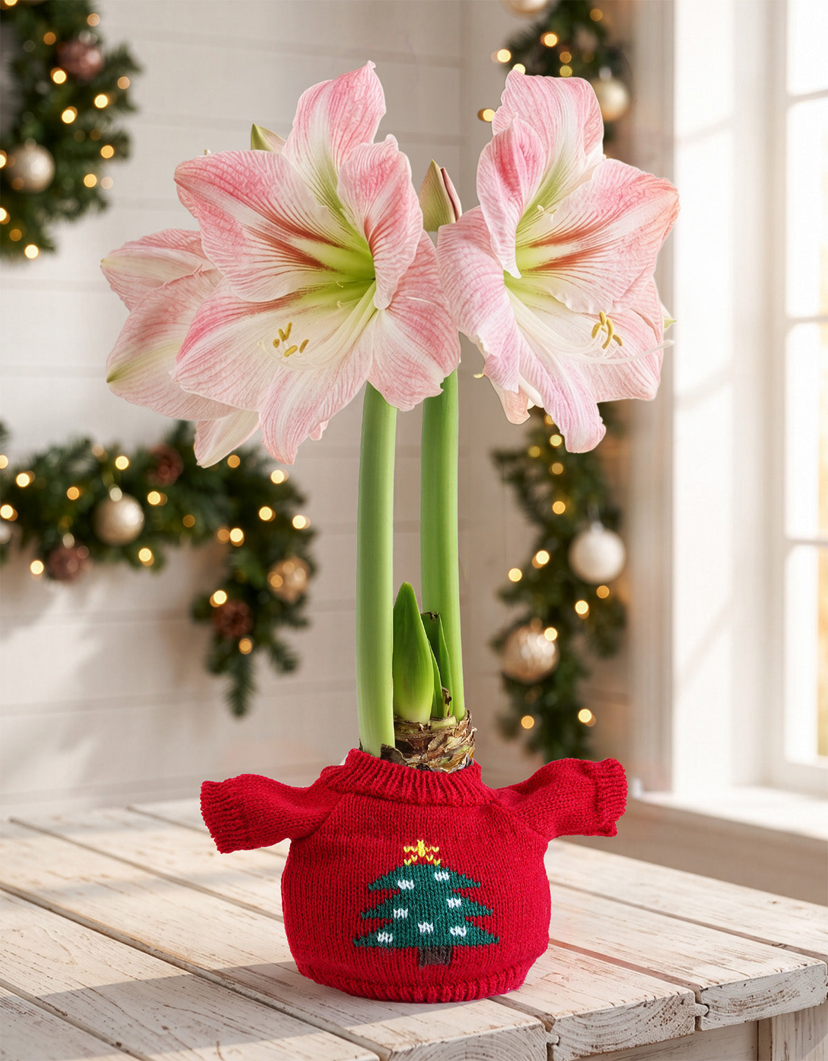 Christmas Tree Sweater Amaryllis with Pink Flower