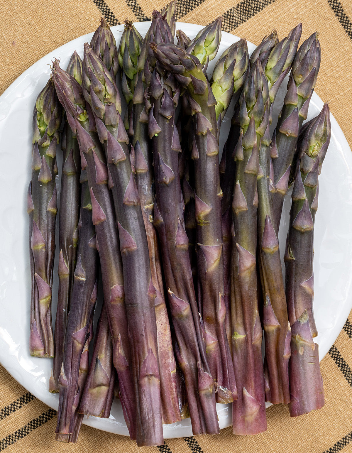 Purple Passion Asparagus Crowns - 10 root divisions