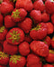 Eversweet Everbearer Strawberry - 10 root divisions