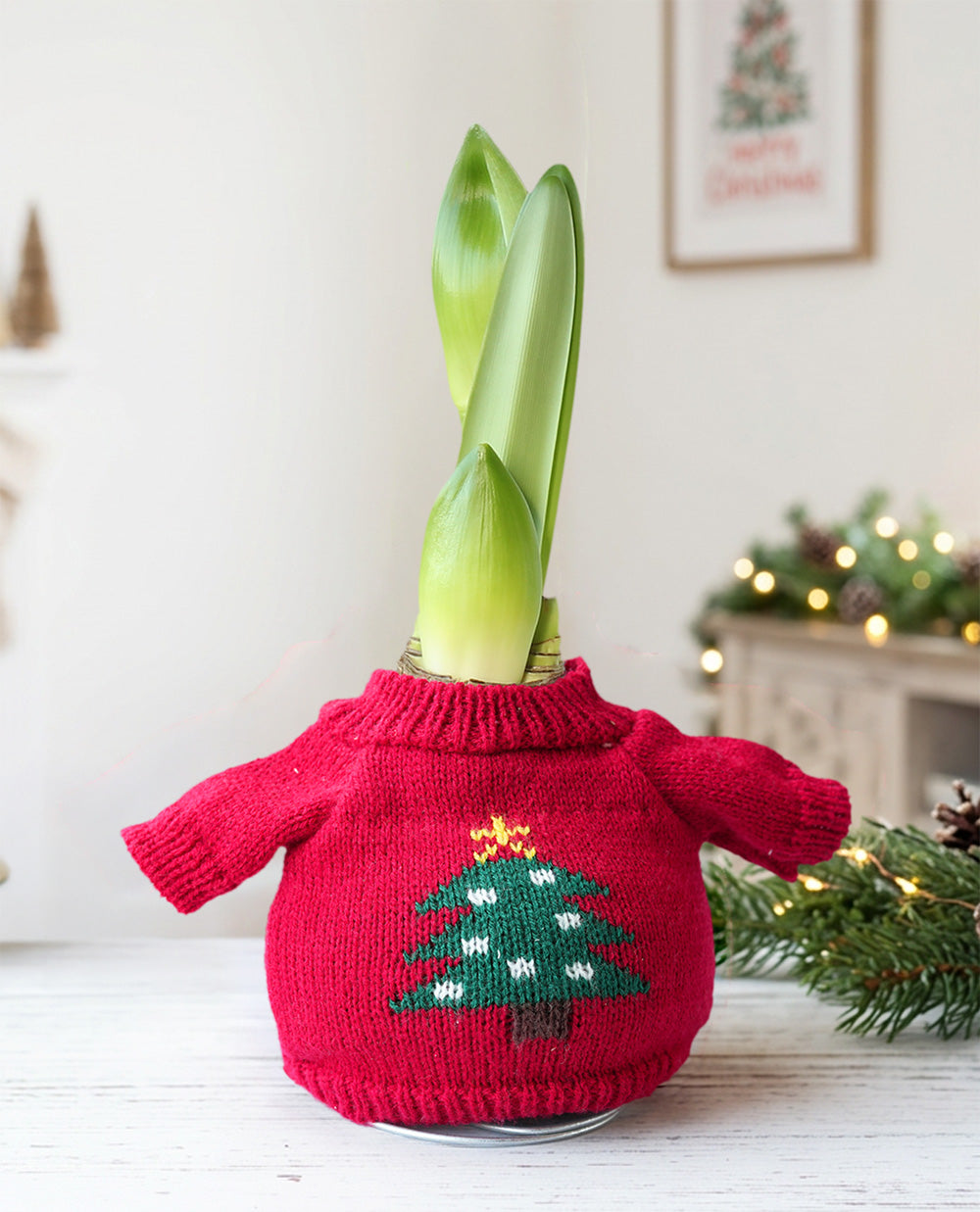 Christmas Tree Sweater Amaryllis with Pink Flower