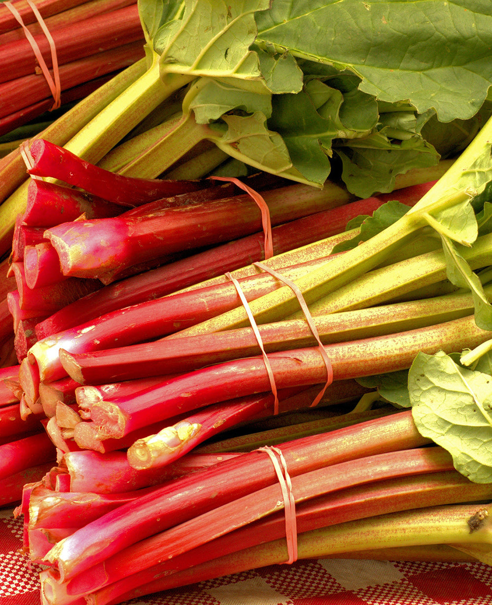 Crimson Red (Cherry) Rhubarb Crowns - 1 root division