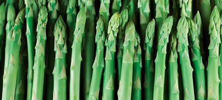 Asparagus - Preorder - Shipping in the Spring