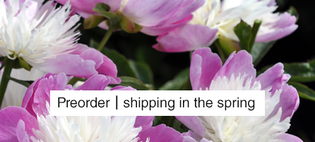 Best Sellers - Preorder - Shipping in the Spring