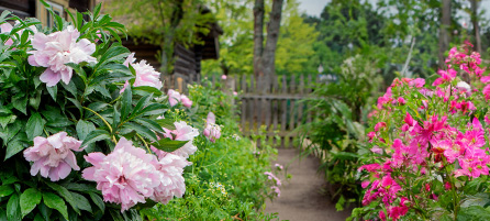 All Spring-Planting