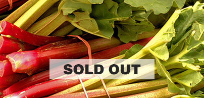 Rhubarb - Preorder - Shipping in the Spring