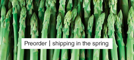 Asparagus - Preorder - Shipping in the Spring