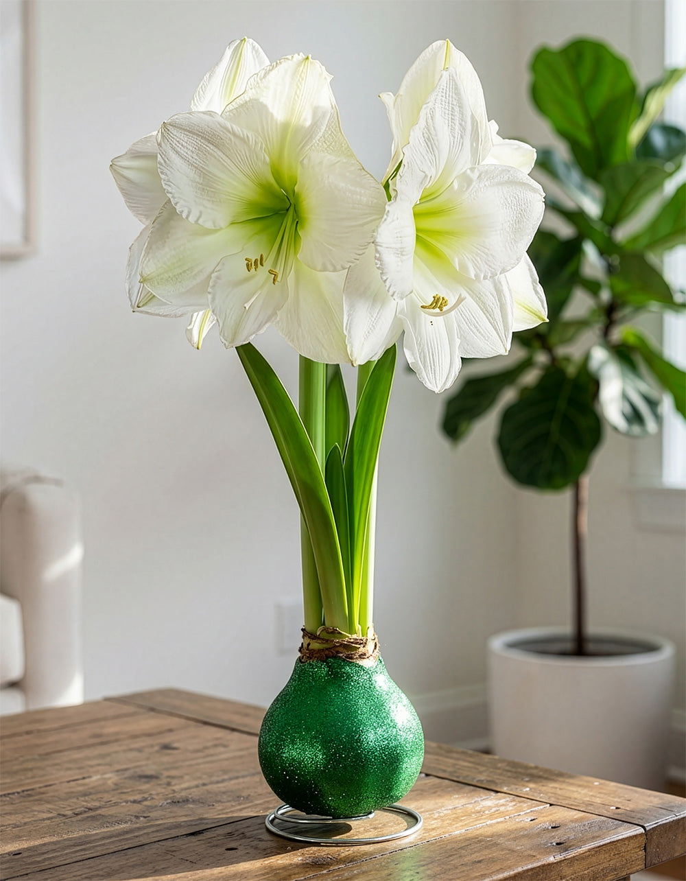 Green Glitter Waxed Amaryllis with White Flower