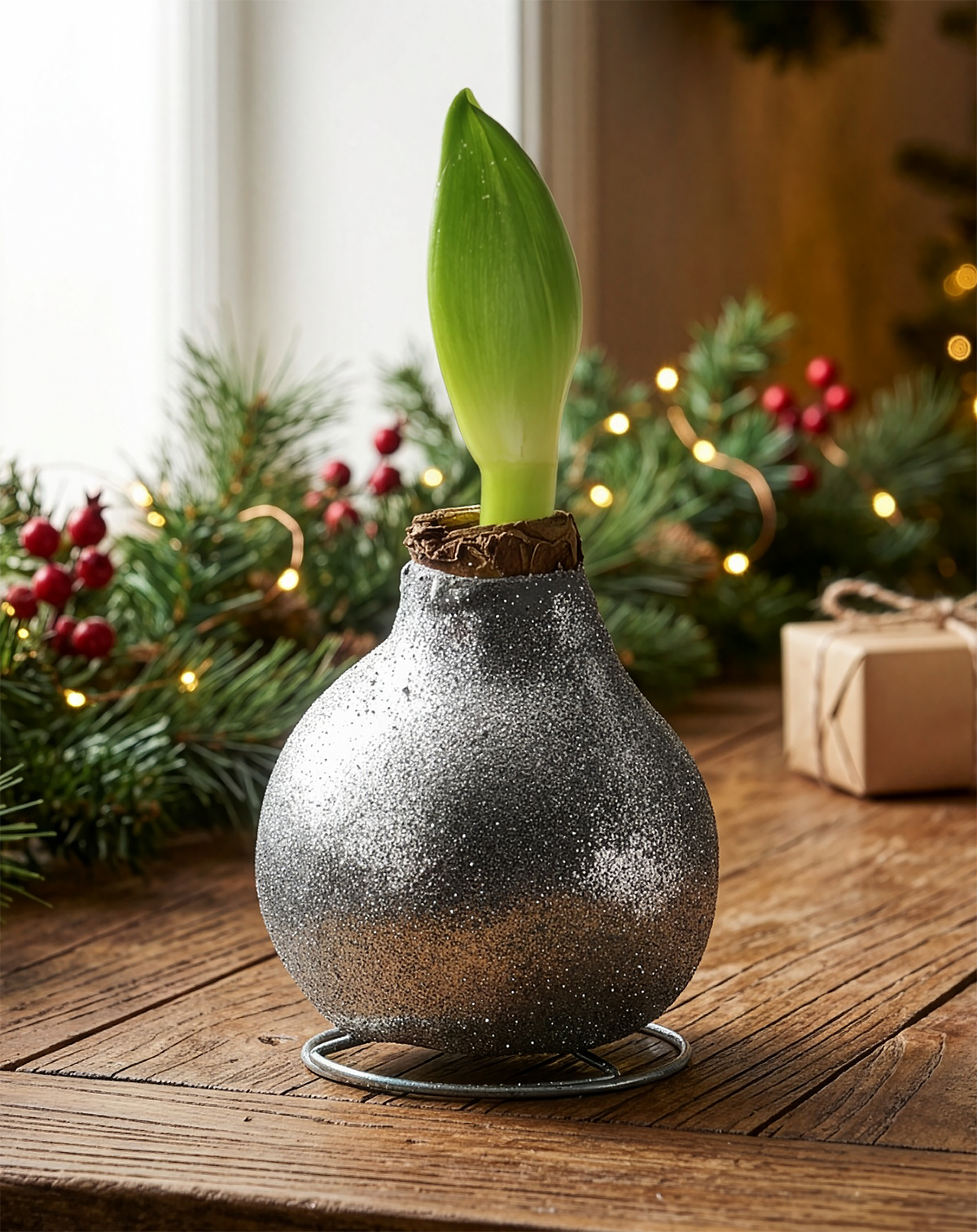 Silver Glitter Waxed Amaryllis with Pink Flower
