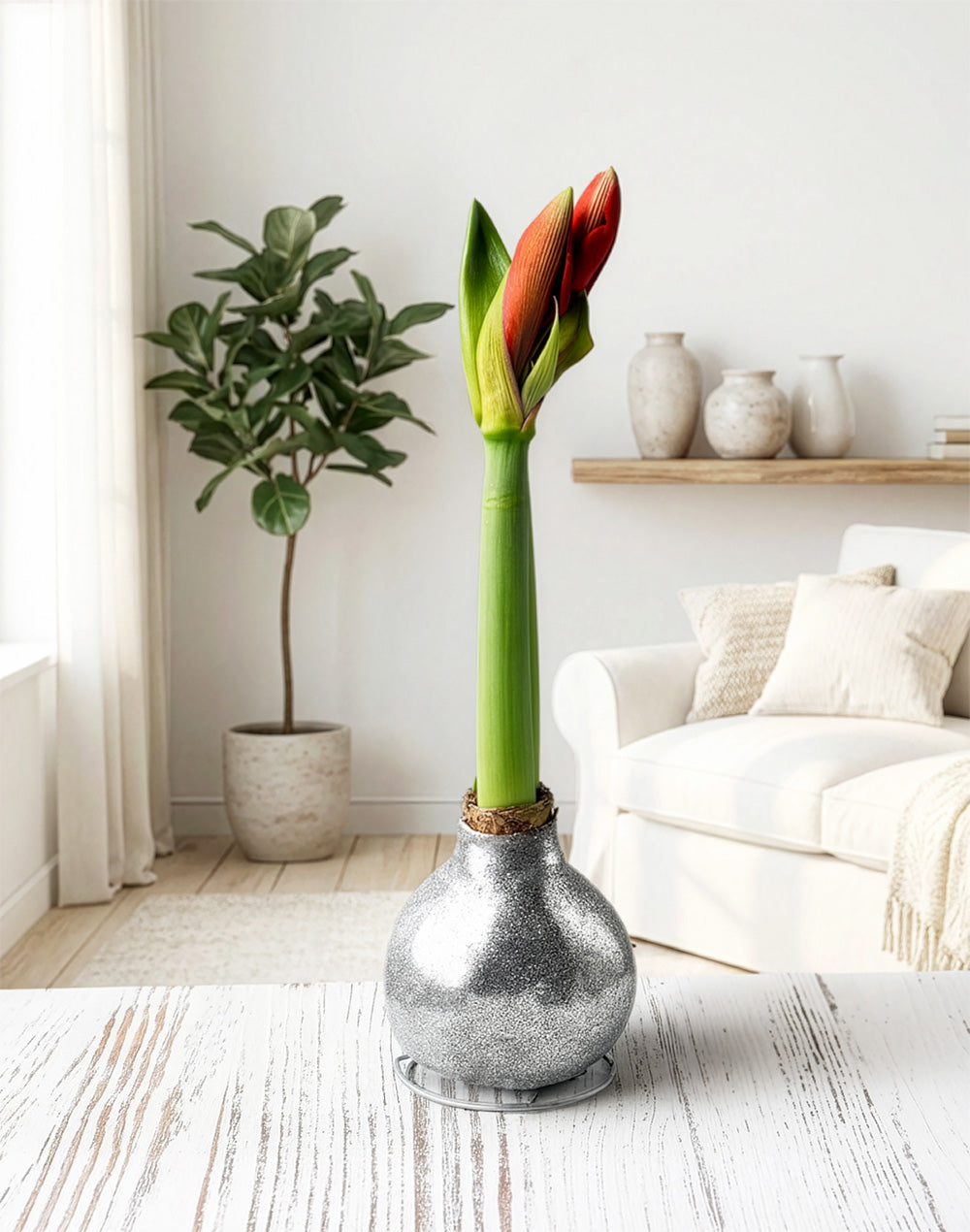 Silver Glitter Waxed Amaryllis with White Flower