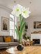 Black Waxed Amaryllis Bulb with White Flower