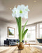 Gold Waxed Amaryllis Bulb with White Flower