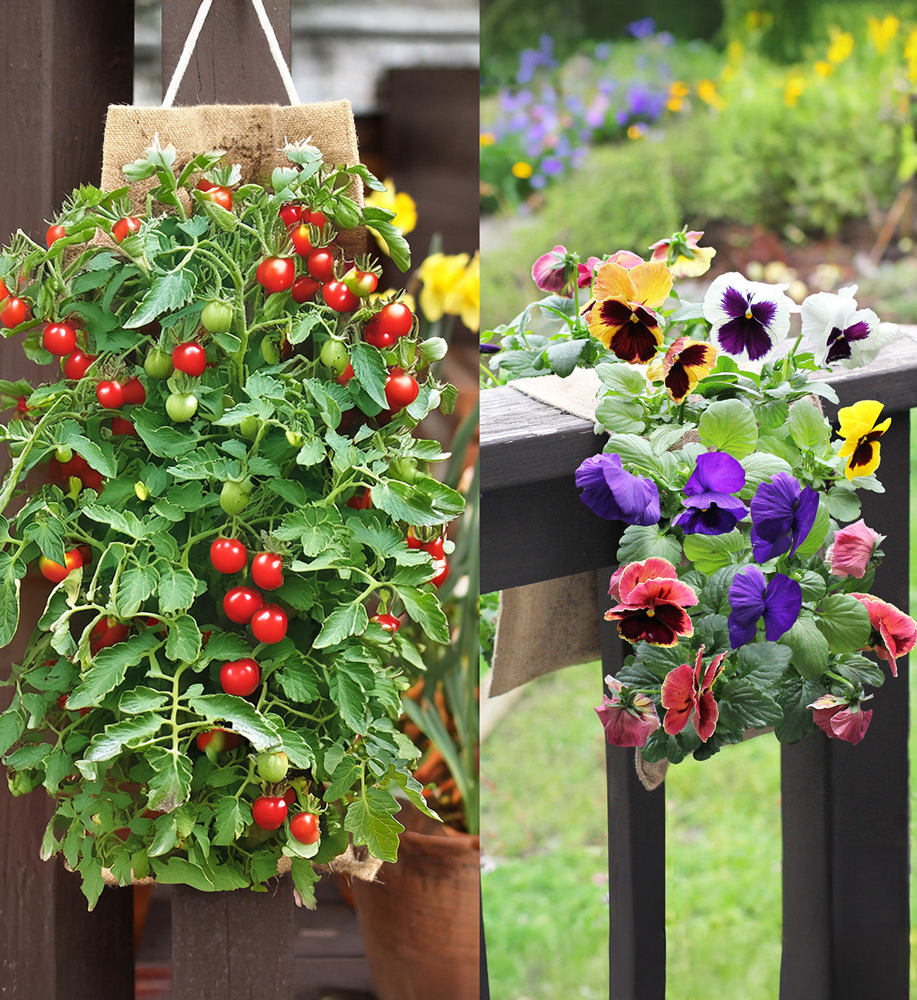 Hang & Grow® Burlap Hanging Bag - 2" Holes
