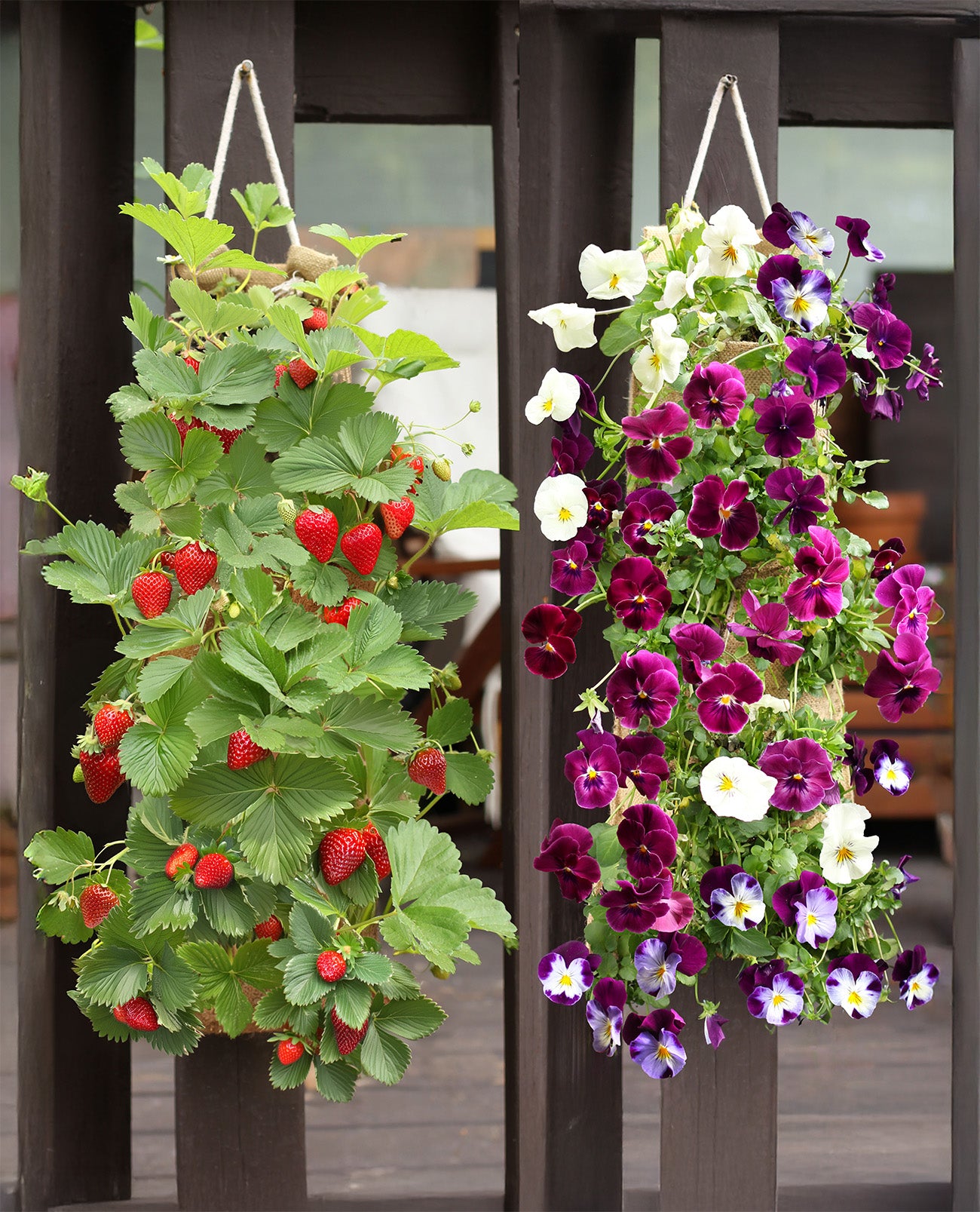 Hang & Grow® Burlap Hanging Bag - 2" Holes