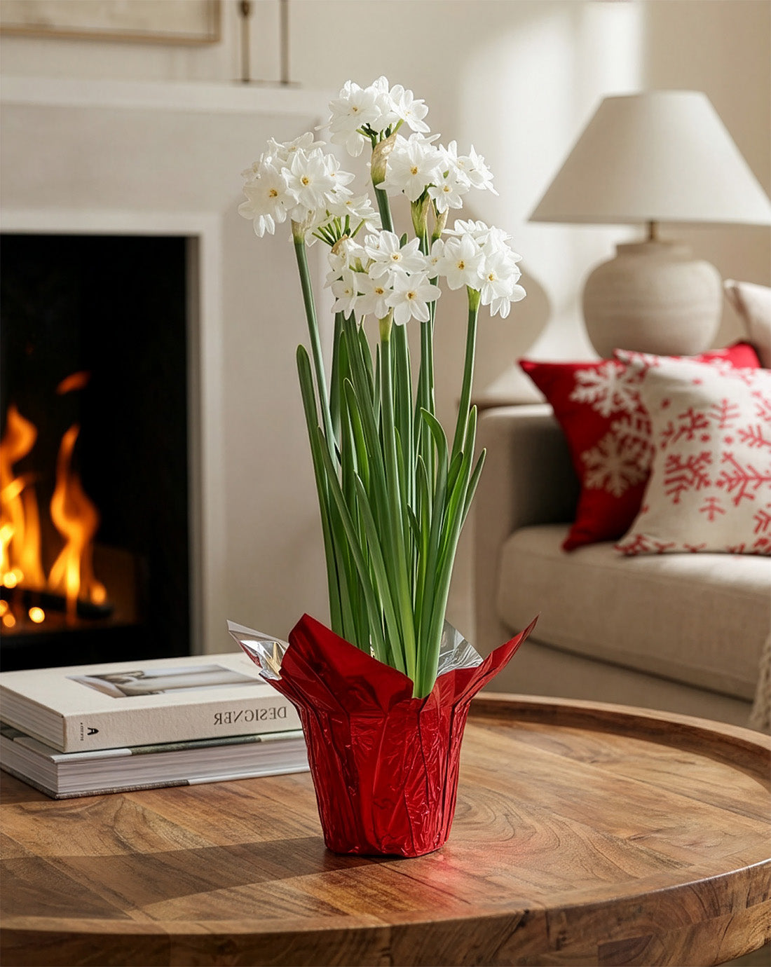 Paperwhites in Red Foil