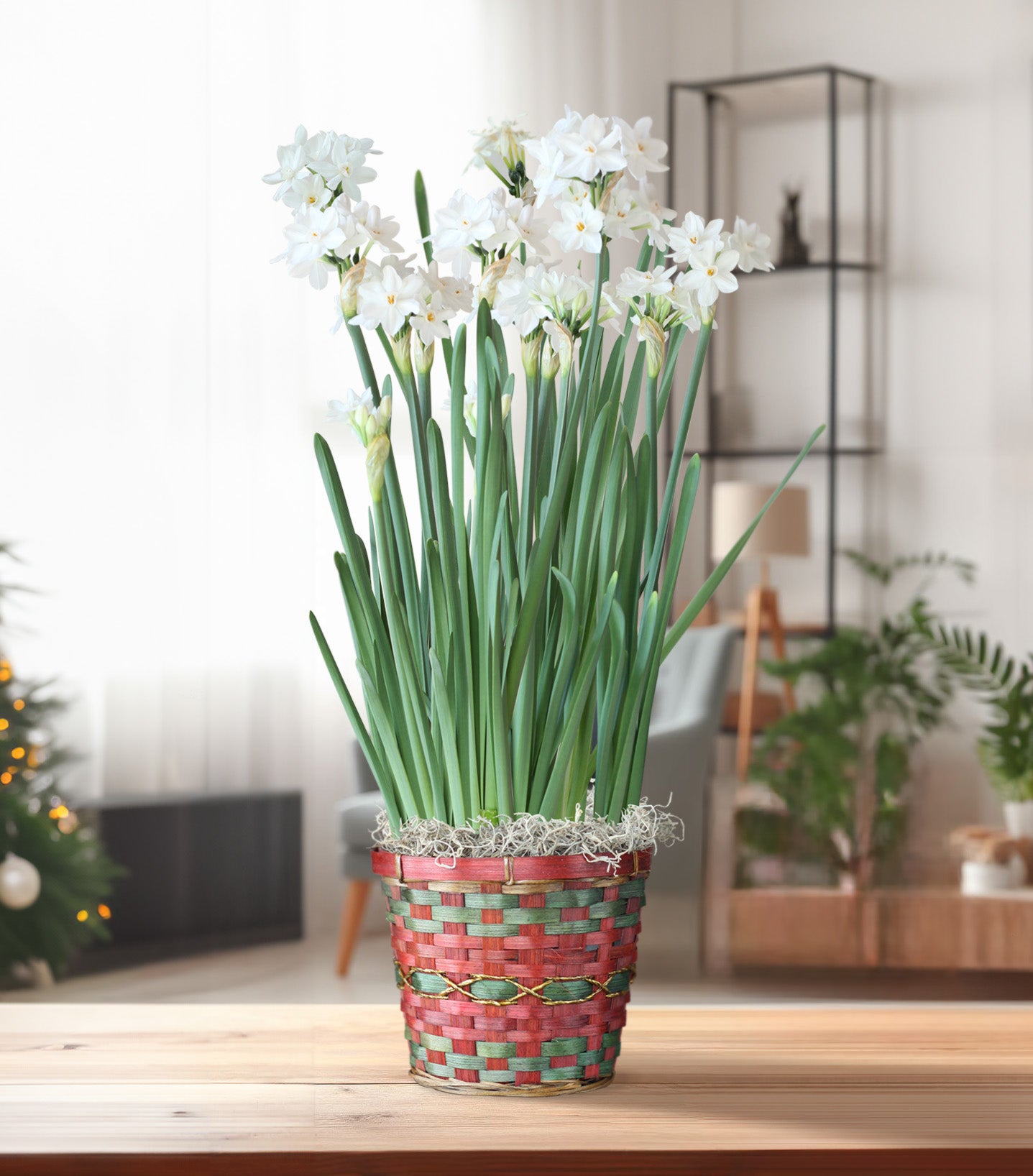 Paperwhite Bamboo Basket