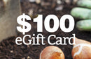 BloomingBulb eGift Card