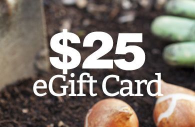 BloomingBulb eGift Card