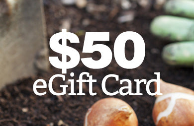 BloomingBulb eGift Card