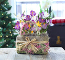 Cheerful Crocus Bulb Gift