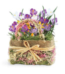 Cheerful Crocus Bulb Gift