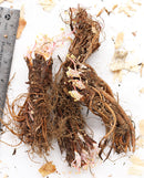 Brookside Geranium - 3 root divisions