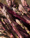 Purple Passion Asparagus Crowns - 10 root divisions