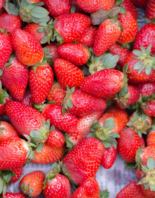 Totem Strawberry - 5 root divisions