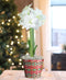 White Amaryllis Holiday Basket