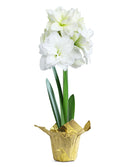 White Amaryllis in Gold Foil