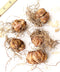 Forza Red Asiatic Lily - 5 bulbs